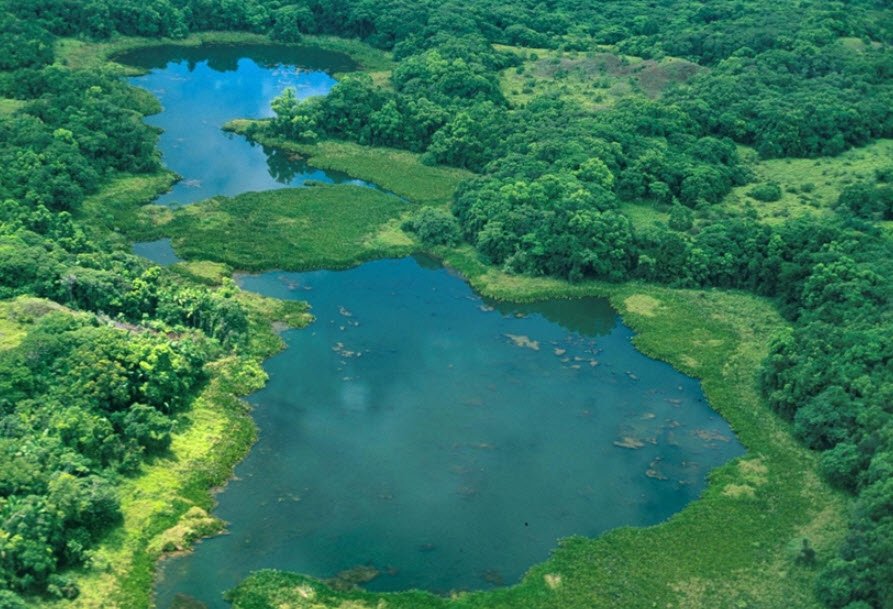 Ngardok Nature Reserve, Babeldaob (Melekeok State), Palau